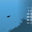 A Penguin’s Odyssey